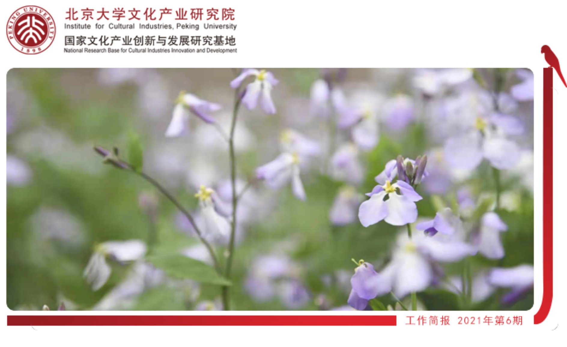 6月简报图