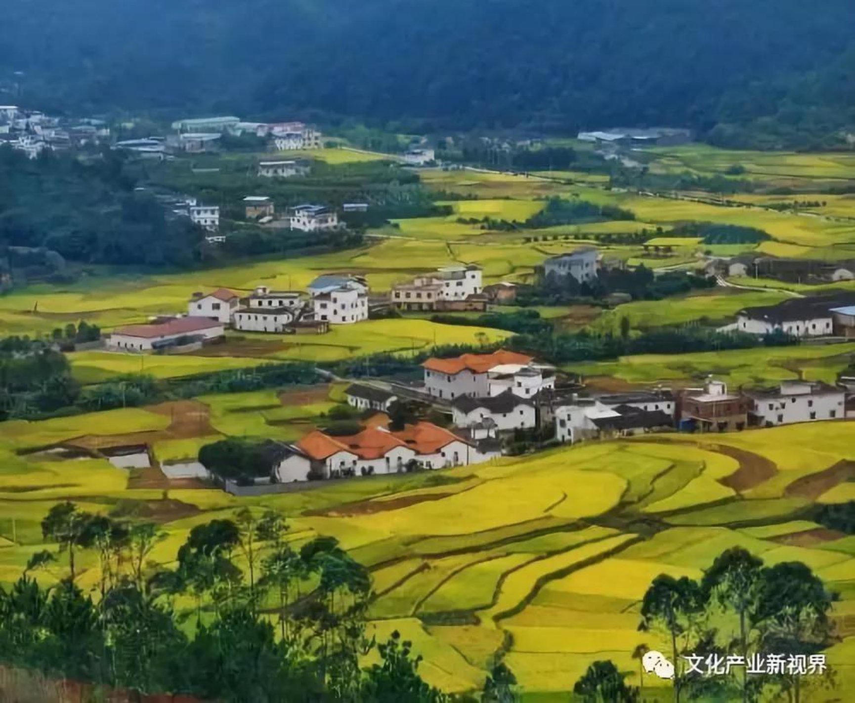 微信图片_20190115180254